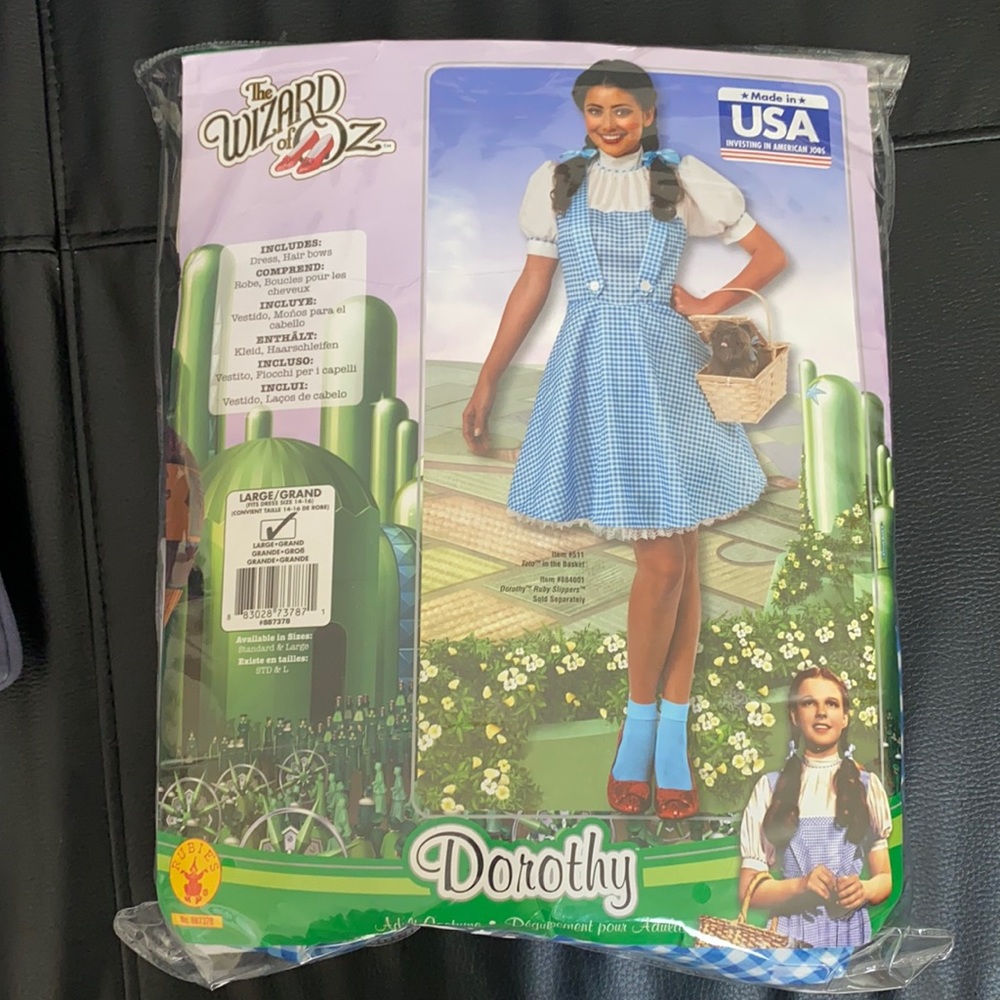 Dorothy costume